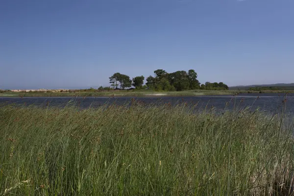 Igneada Longoz ormanları Milli Parkı, Türkiye