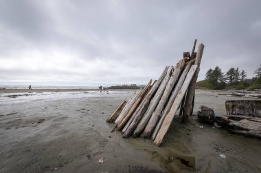 Vancouver Adası, British Columbia, Kanada'nın Batı kıyısı Chesterman sahilde bulunan dalgaların karaya attığı odun yapılmış bir barınak