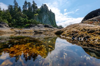 Kanada 'nın Britanya Kolumbiyası' ndaki Graham adası Haida Gwaii 'nin (eski adıyla Kraliçe Charlotte Adaları) kuzey kıyısındaki Naikoon il parkında bulunan güzel bir volkanik dolgu kalıntısı olan Çekici Tepesi' nde yansıma.