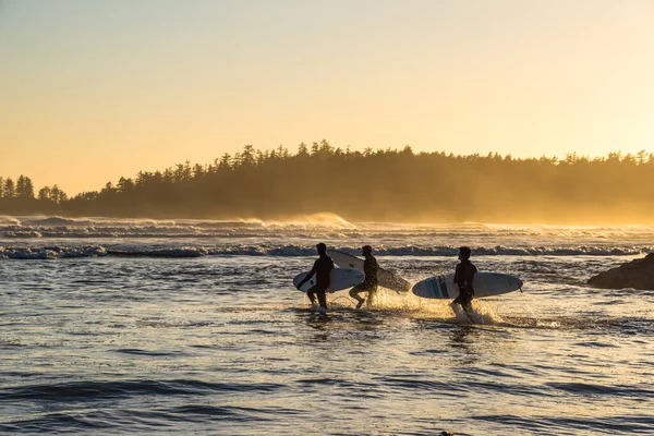 環太平洋国立公園保護区 Bc州 カナダ2016年9月22日 長いビーチ 非常に人気のあるカナダのサーフィンのメッカと休暇先で日没時にいくつかの波をキャッチするために不足しているサーファー ストックフォト
