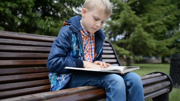 Piccolo Ragazzo Biondo Adolescente Legge Libro Parco Estivo Una Panchina — Video Stock