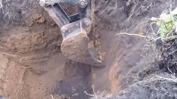 Excavator bucket close-up. Excavator digs trench, pit — Stock Footage Excavator Bucket Close Excavator Digs Trench Pit Stock Video