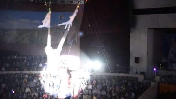 Ufa Rusia Diciembre 2014 Actuación Circo Ufa Artistas Acróbatas Animales — Vídeo de stock