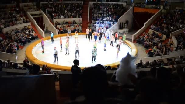 Ufa Rússia Dezembro 2014 Performance Circo Ufa Artistas Acrobatas Animais — Vídeo de Stock