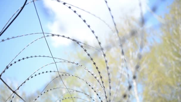 Тюремный Пейзаж Колючей Проволокой Забором Фоне Берез Неба — стоковое видео