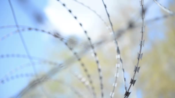 Hapishane Yatay Dikenli Tel Çit Ağaç Gökyüzü Arka Planı — Stok video
