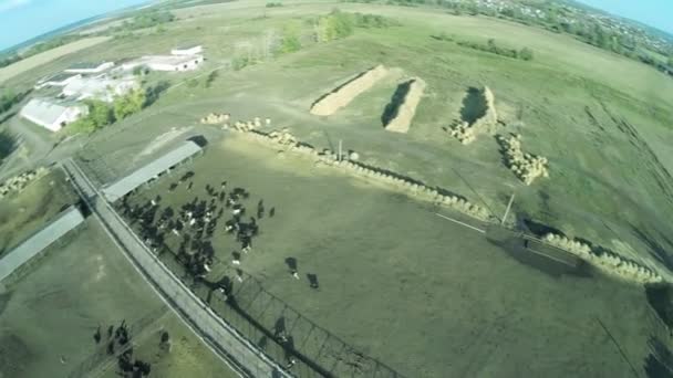 Mini Süt Sığır Çiftliği Havadan Görünüm — Stok video
