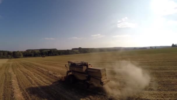 Ufa Aug Combine Wheat Field Aerial Shooting View August 2014 — 비디오