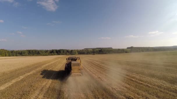 Ufa Aug Combine Wheat Field Aerial Shooting View August 2014 — Stock Video