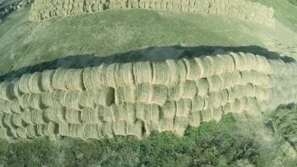 草原干し草俵 内動物のためのファーム 航空写真ビュー — ストック動画