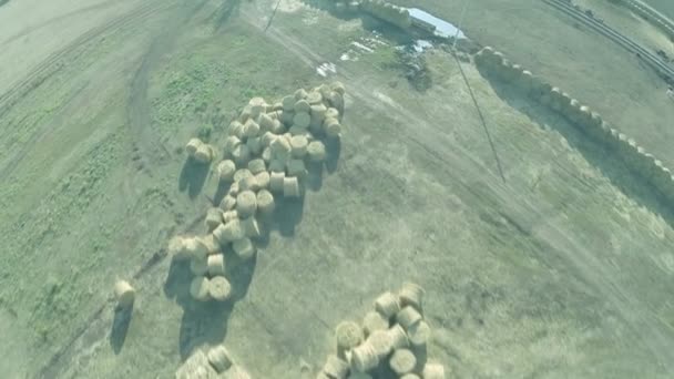 Foin de prairie en balles rondes, ferme pour animaux. Vue aérienne 