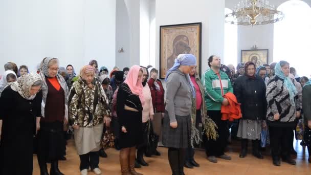 Μπίρσκ Ρωσία Απριλίου 2019 Λειτουργία Στη Ρωσική Ορθόδοξη Εκκλησία Ιερείς — Αρχείο Βίντεο