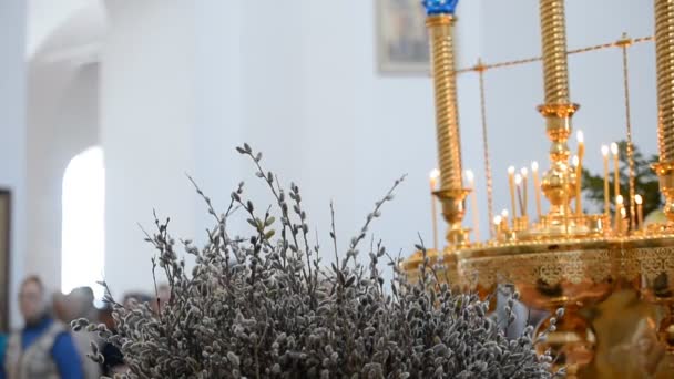 Birsk Rusia Abril 2019 Liturgia Iglesia Ortodoxa Rusa Sacerdotes Creyentes — Vídeo de stock