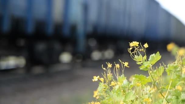 Primer Plano Par Ruedas Carro Ruedas Tren Mercancías — Vídeo de stock