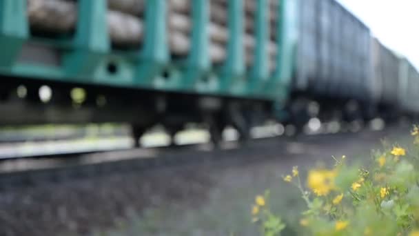 Close Van Een Wielstel Van Een Goederentrein — Stockvideo