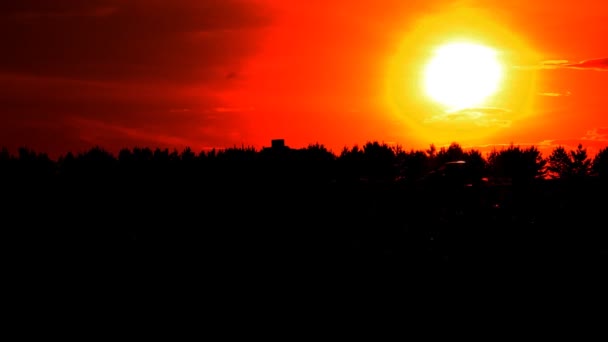 Silhouetten Van Auto Snelweg Tegenlicht Zonsondergang — Stockvideo