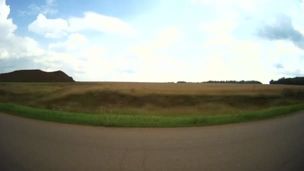 Panorama Ett Grönt Fält Från Fönstret Bil Traktor — Stockvideo