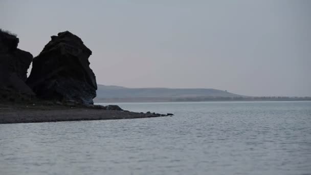 Shore Large Calm Lake Calm Morning — Stock Video