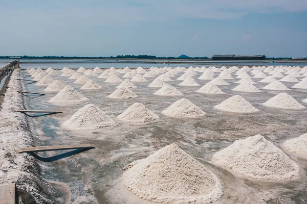 Många Vita Salthögar Salt Farm Thailand Där Det Finns Produktionssalt — Stockfoto