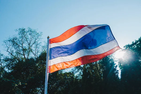 Flagge Thailands Weht Und Die Sonne Scheint Vor Grünem Waldhintergrund — Stockfoto