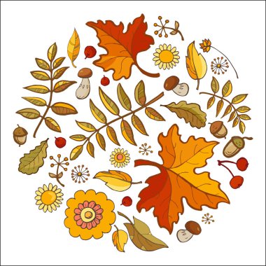 Daire sonbahar foral unsurları yaptı. Renkli meşe, akçaağaç yaprakları ve rowan. Tasarım şablonu için davetiye, afiş, etiket ve diğer