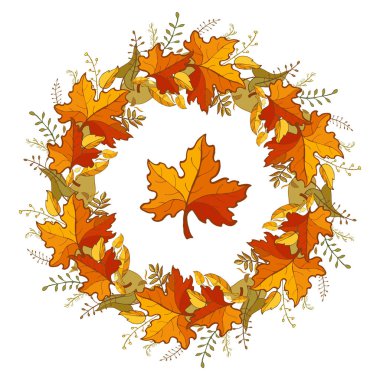 Akçaağaç Sonbahar çelenk bıraktı. Renkli sonbahar garland. Tasarım şablonu için davetiye, afiş, etiket ve diğer