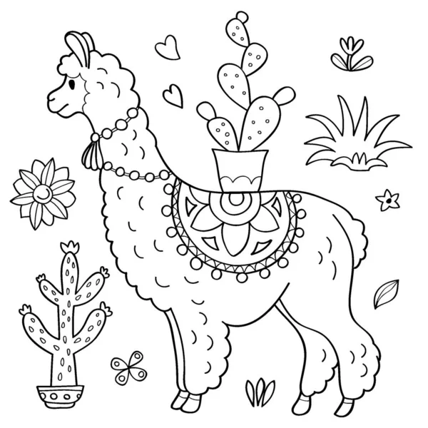 Lama ve kaktüs.