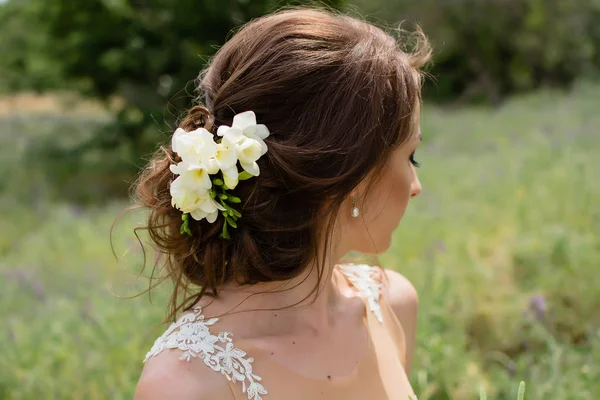 Hermosa Novia Vestido Novia Posando Aire Libre — Foto de Stock