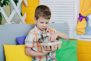 Çocuk bir tavşan onun elinde tutan ve gülümseyerek. parlak sarı oda içinde bir oğlan