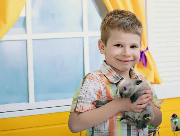 Хлопчик Тримає Кролика Руках Посміхається Хлопчик Світло Жовтій Кімнаті — стокове фото