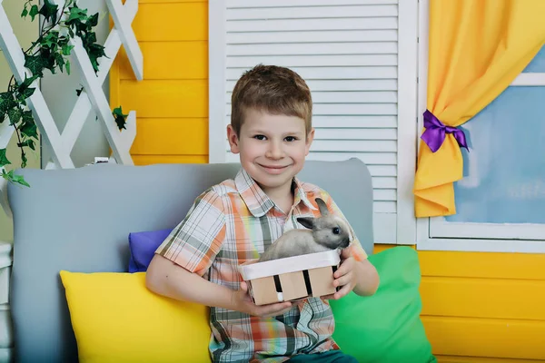 Niño Sostiene Conejo Sus Manos Sonríe Niño Una Habitación Color — Foto de Stock