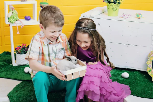 Щасливі Діти Граються Кроликом Хлопчик Дівчинка Світлій Кімнаті Сміються Грають — стокове фото