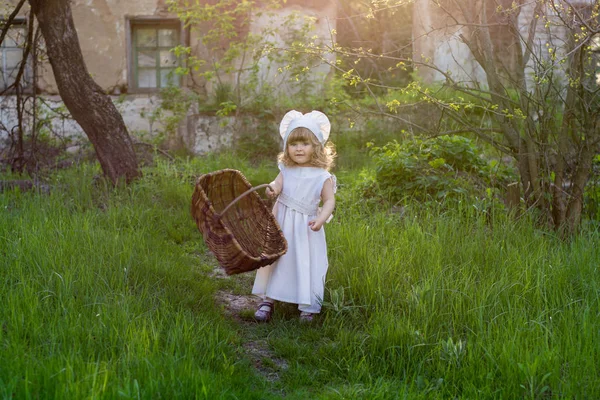 Een Mooi Klein Meisje Loopt Het Platteland Een Kind Een — Stockfoto