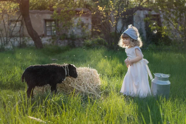 Niño Hermoso Está Jugando Jardín Con Una Oveja Una Chica — Foto de Stock