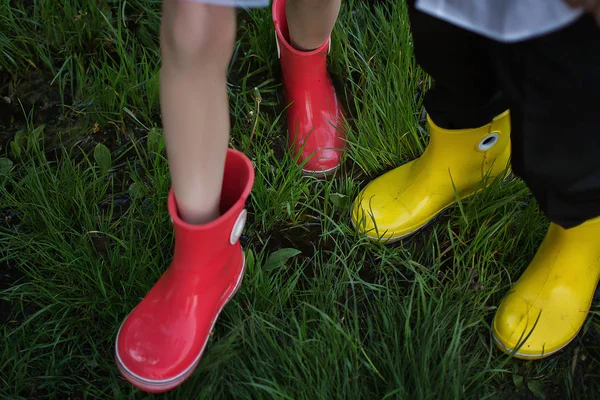 Rubber boots. Legs in rubber boots stand in a puddle