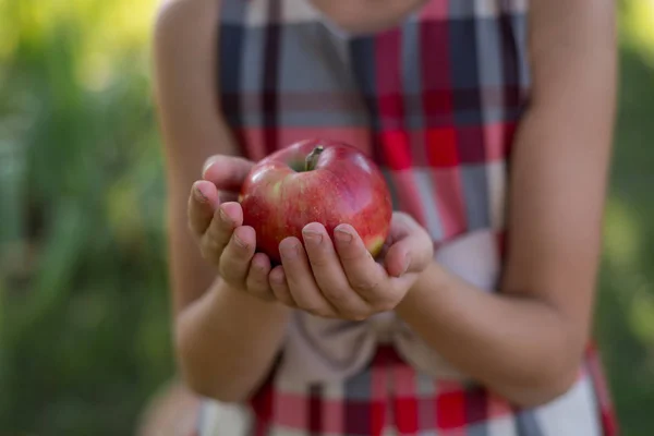 Schönes Mädchen Einem Apfelgarten Ein Kind Reißt Äpfel Von Einem — Stockfoto