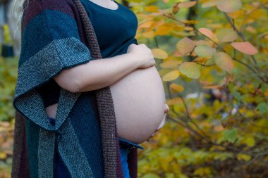 Hamile bir kadının çıplak karın. Eller karın sarılmak