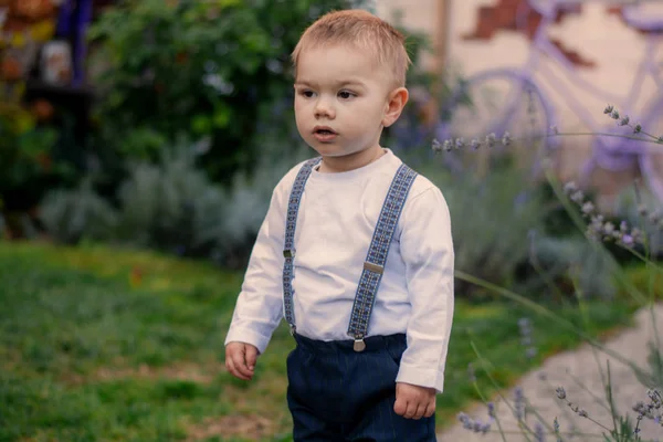 Niño Pequeño Caminando Parque Otoño Niño Con Estilo — Foto de Stock