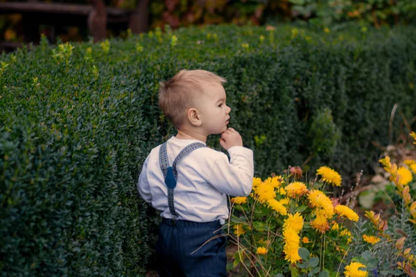 Niño Pequeño Caminando Parque Otoño Niño Con Estilo — Foto de Stock