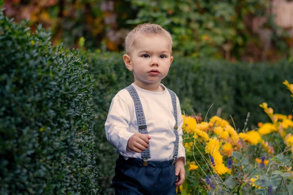 Niño Pequeño Caminando Parque Otoño Niño Con Estilo — Foto de Stock