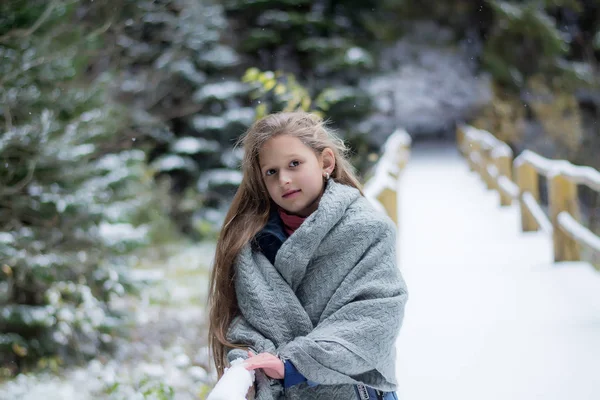 Piękna Dziewczyna Długimi Włosami Stoi Pokrytych Śniegiem Lasach Dziecko Było — Zdjęcie stockowe