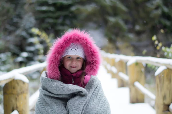 Portret Uroczej Dziewczynki Drewnianym Moście Lesie Zimowym — Zdjęcie stockowe
