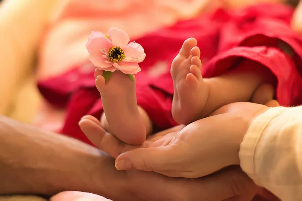Ноги Новорожденного Ребенка Цвеочек Ноги Ребенком — стоковое фото