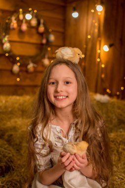 Kız güler ve elinde bir tavuk tutar. Çocuk samanlıkta oturuyor. Hayvanlarla kırsal uzun saçlı güzel çocuk