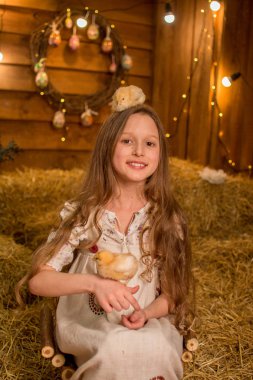 Kız güler ve elinde bir tavuk tutar. Çocuk samanlıkta oturuyor. Hayvanlarla kırsal uzun saçlı güzel çocuk