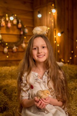 Kız güler ve elinde bir tavuk tutar. Çocuk samanlıkta oturuyor. Hayvanlarla kırsal uzun saçlı güzel çocuk