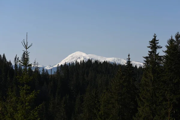 Widok Lasy Góry — Zdjęcie stockowe