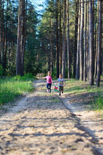 Boy Girl Playing Forest Children Fly Kite — Stock Photo, Image