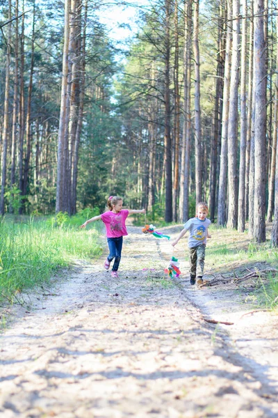 Boy Girl Playing Forest Children Fly Kite — Stock Photo, Image