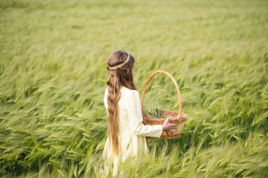 Yeşil buğday tarlası. Güzel kız tarlada yürüyor. Sepetli bir çocuk dikenleri toplar. Dinlenme ve tarım. Genç bir kızın uzun saçları.